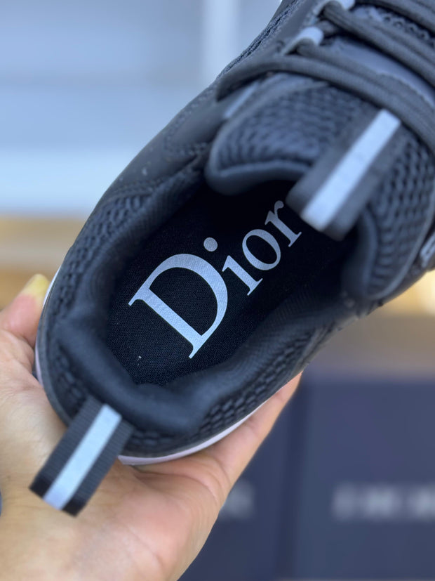 DIOR B22