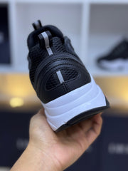 DIOR B22